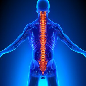 Spine health
